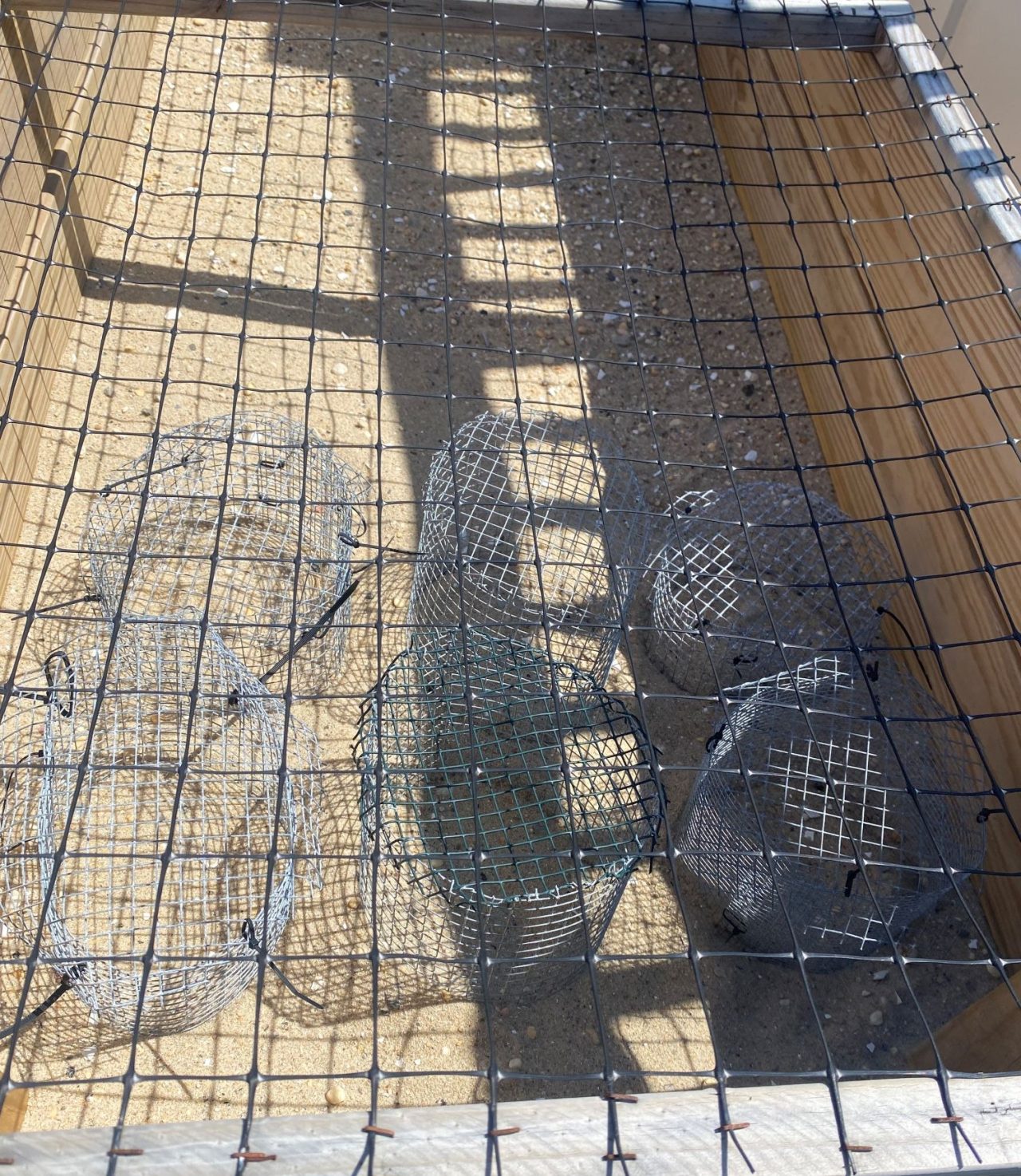 LBT Marine Field Station