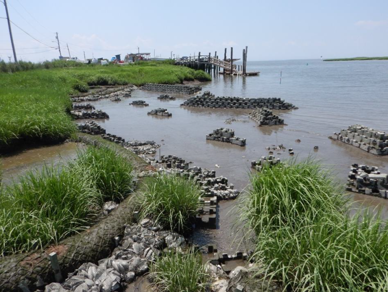 Oyster Shell Recycling Program LBT Marine Field Station